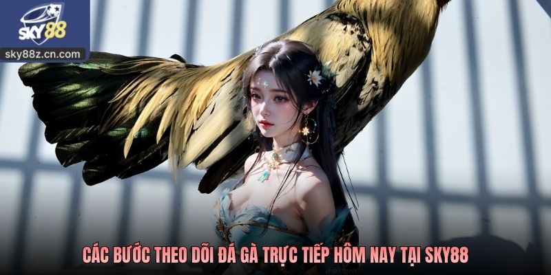 Các bước theo dõi đá gà trực tiếp hôm nay tại Sky88