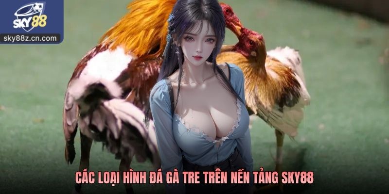 Các loại hình đá gà tre trên nền tảng SKY88