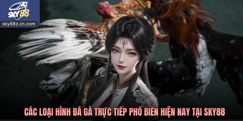 Các loại hình đá gà trực tiếp phổ biến hiện nay tại Sky88