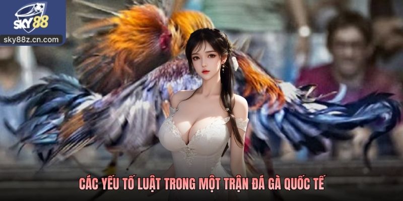 Các yếu tố luật trong một trận đá gà quốc tế