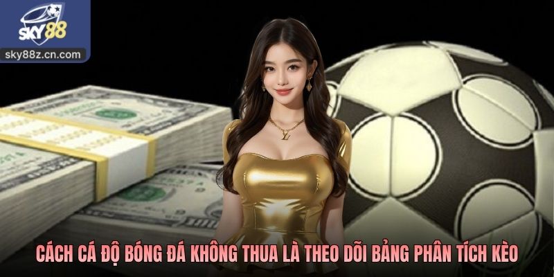 Cách cá độ bóng đá không thua là theo dõi bảng phân tích kèo