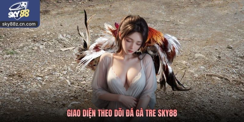 Giao diện theo dõi đá gà tre SKY88