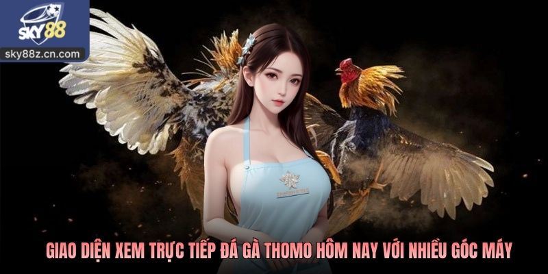 Giao diện xem trực tiếp đá gà thomo hôm nay với nhiều góc máy