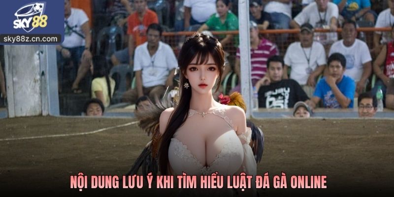 Nội dung lưu ý khi tìm hiểu luật đá gà online