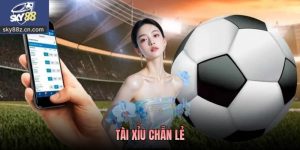 Tài Xỉu Chẵn Lẻ Là Gì? Kinh Nghiệm Theo Dõi Hiệu Quả 2026