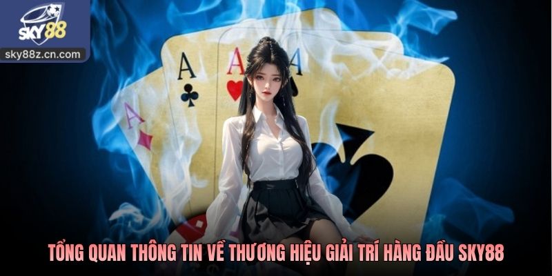 Tổng quan thông tin về thương hiệu giải trí hàng đầu SKY88